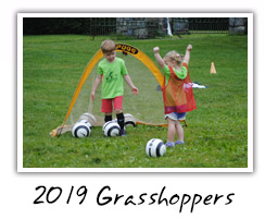 2019 Grasshoppers