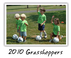 2010 Grasshoppers