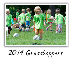 2014 Grasshoppers